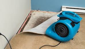 The Role of Drying and Dehumidification in Water Damage Restoration